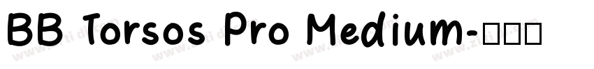 BB Torsos Pro Medium字体转换